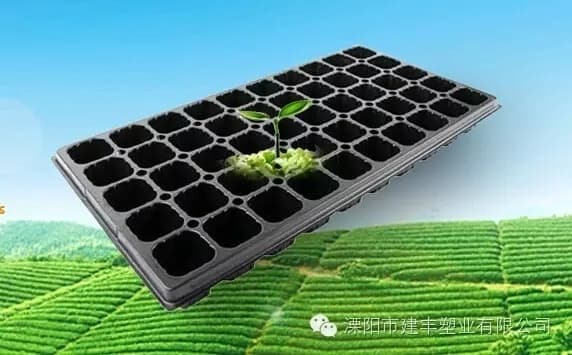 Nursery tray for Vegetable _ Horticultur
